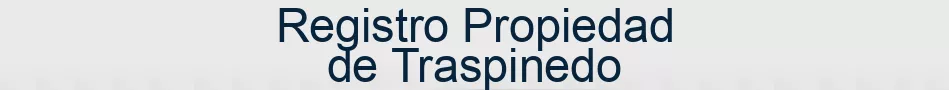 Registro Propiedad de Traspinedo