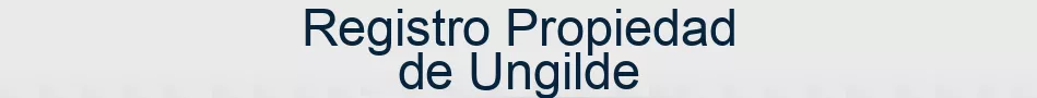 Registro Propiedad de Ungilde