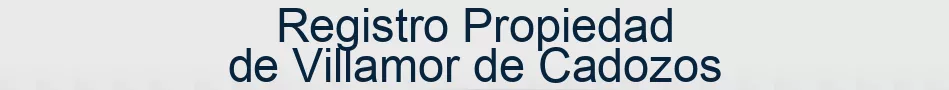 Registro Propiedad de Villamor de Cadozos