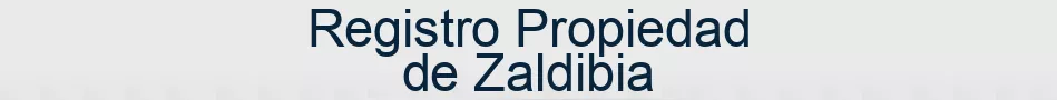 Registro Propiedad de Zaldibia