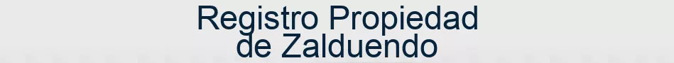 Registro Propiedad de Zalduendo