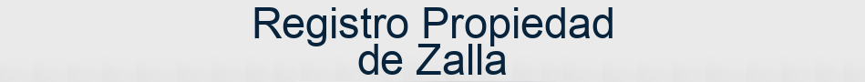 Registro Propiedad de Zalla