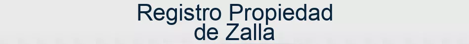 Registro Propiedad de Zalla