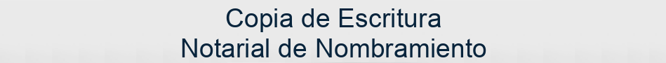 Copia de Escritura Notarial de Nombramiento y/o cese del órgano de administración