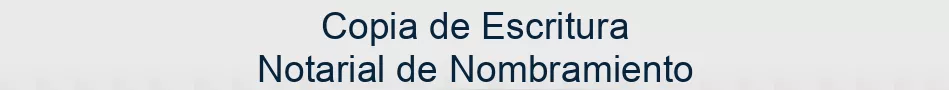 Copia de Escritura Notarial de Nombramiento y/o cese del órgano de administración