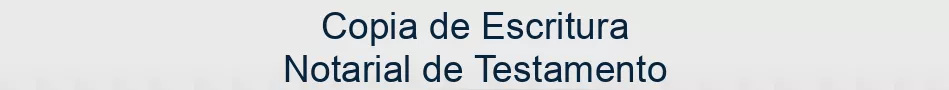 Copia de Escritura Notarial de Testamento